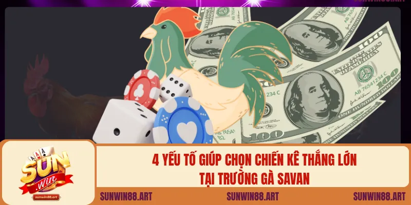 4 yếu tố giúp chọn chiến kê thắng lớn tại trường gà Savan
