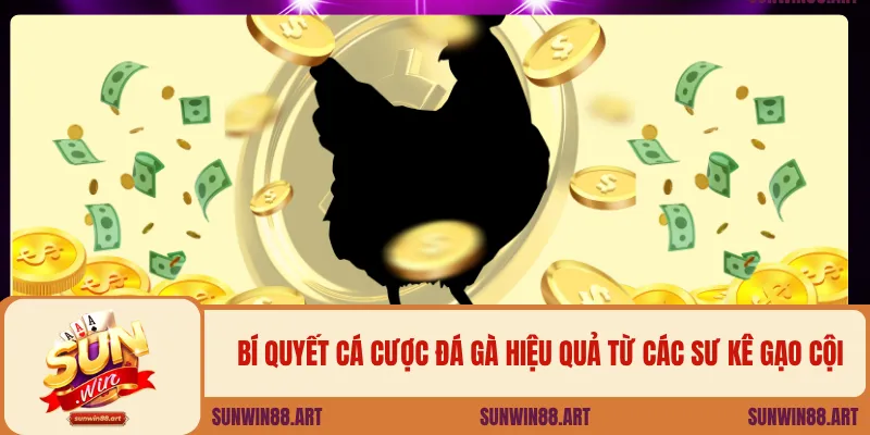 Bí quyết cá cược đá gà hiệu quả từ các sư kê gạo cội