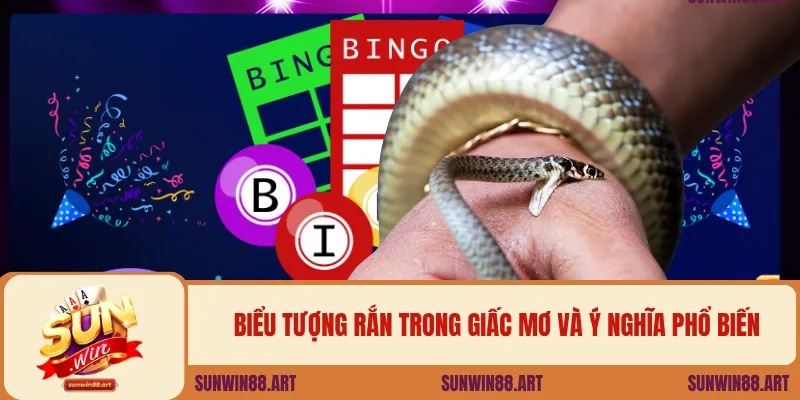 Biểu tượng rắn trong giấc mơ và ý nghĩa phổ biến