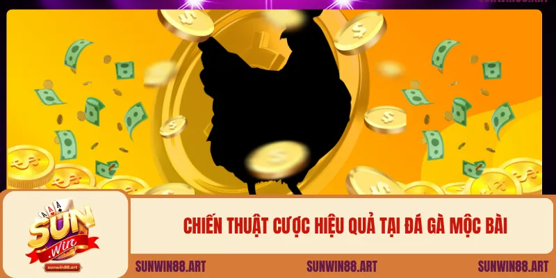 Chiến thuật cược hiệu quả tại đá gà Mộc Bài