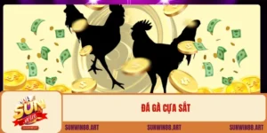 Đá gà cựa sắt