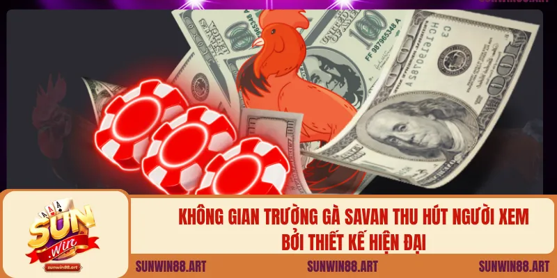 Không gian trường gà Savan thu hút người xem bởi thiết kế hiện đại