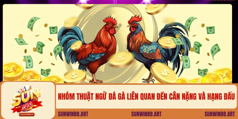 Nhóm thuật ngữ đá gà liên quan đến cân nặng và hạng đấu