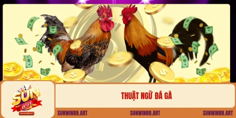 Thuật Ngữ Đá Gà