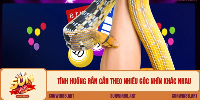 Tình huống rắn cắn theo nhiều góc nhìn khác nhau