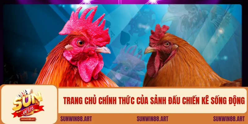 Trang chủ chính thức của sảnh đấu chiến kê sống động